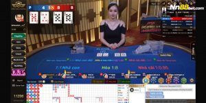 Có nên chơi cá cược casino Nn88 không?